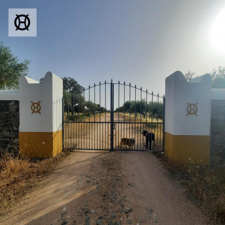Herdade Da Ordem Cabeço de Vide Εξωτερικό φωτογραφία