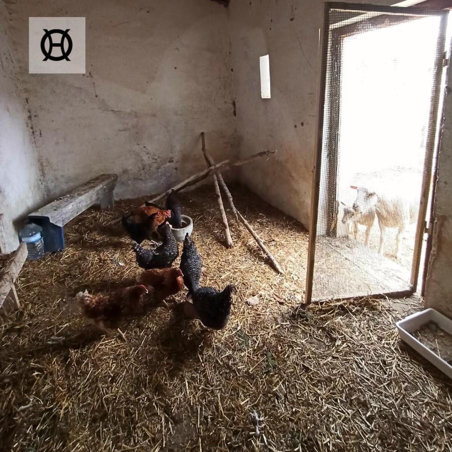 Herdade Da Ordem Cabeço de Vide Εξωτερικό φωτογραφία